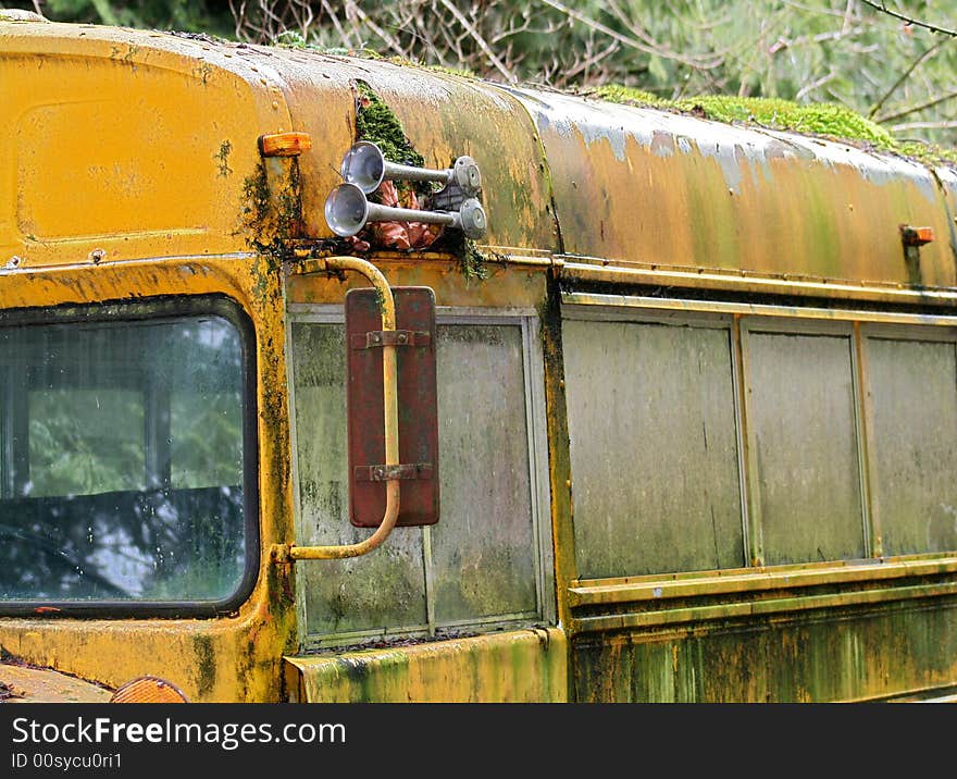 Old, yellow, bus, moss growing on top, with chrome air horns. Old, yellow, bus, moss growing on top, with chrome air horns