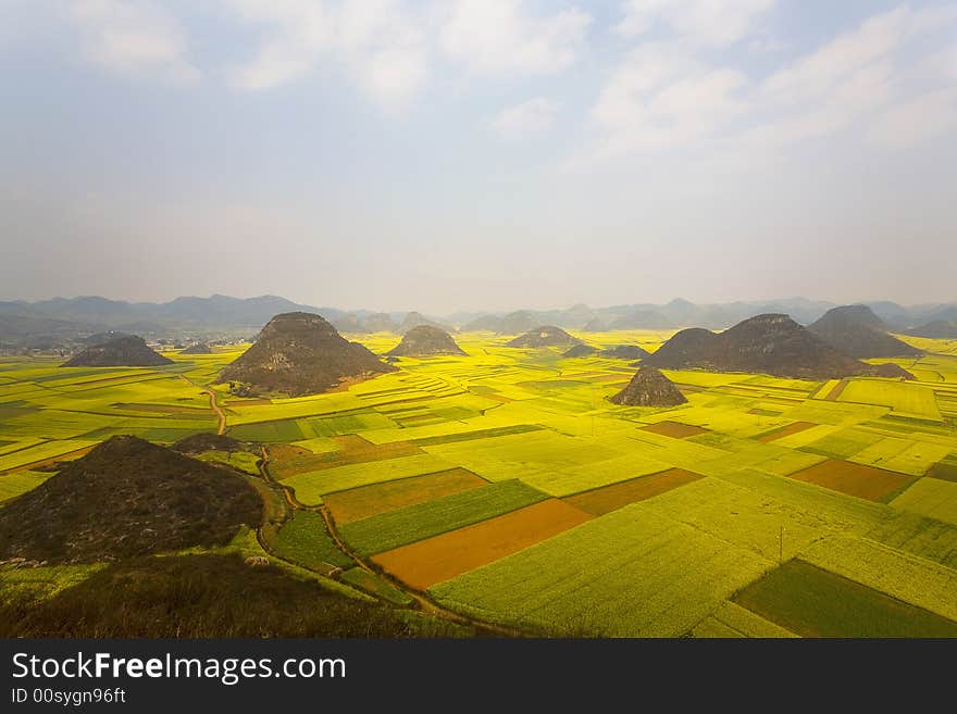 View Of Leping