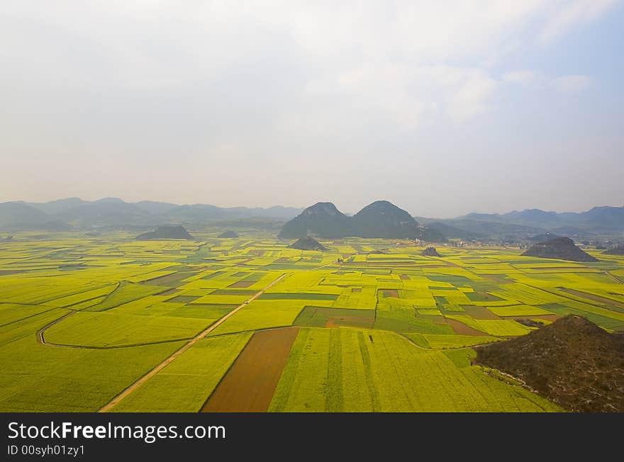 View Of Leping