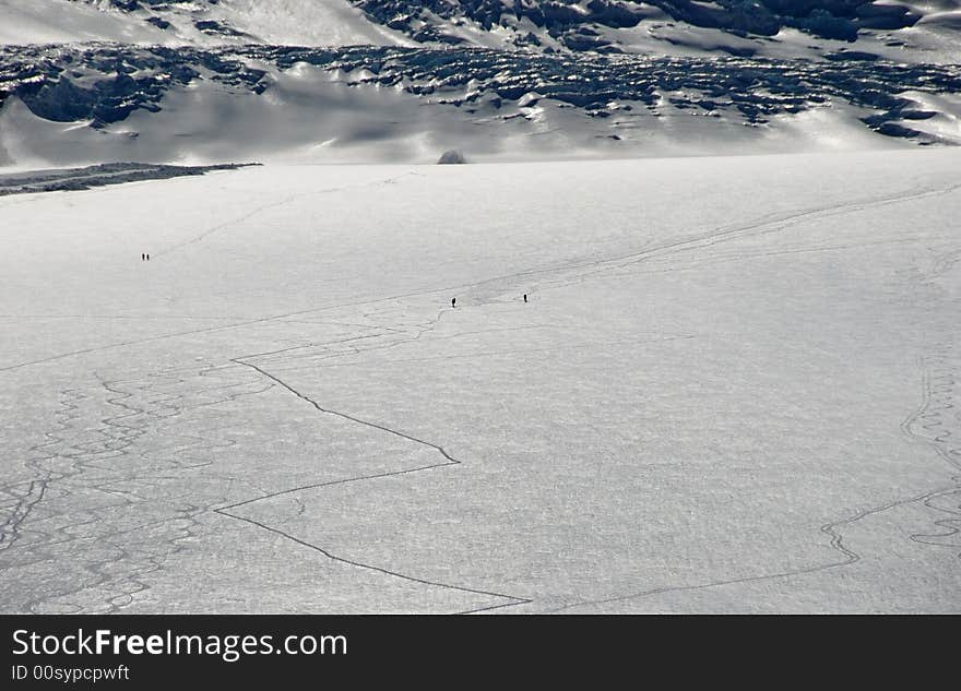 Columbic Icefield