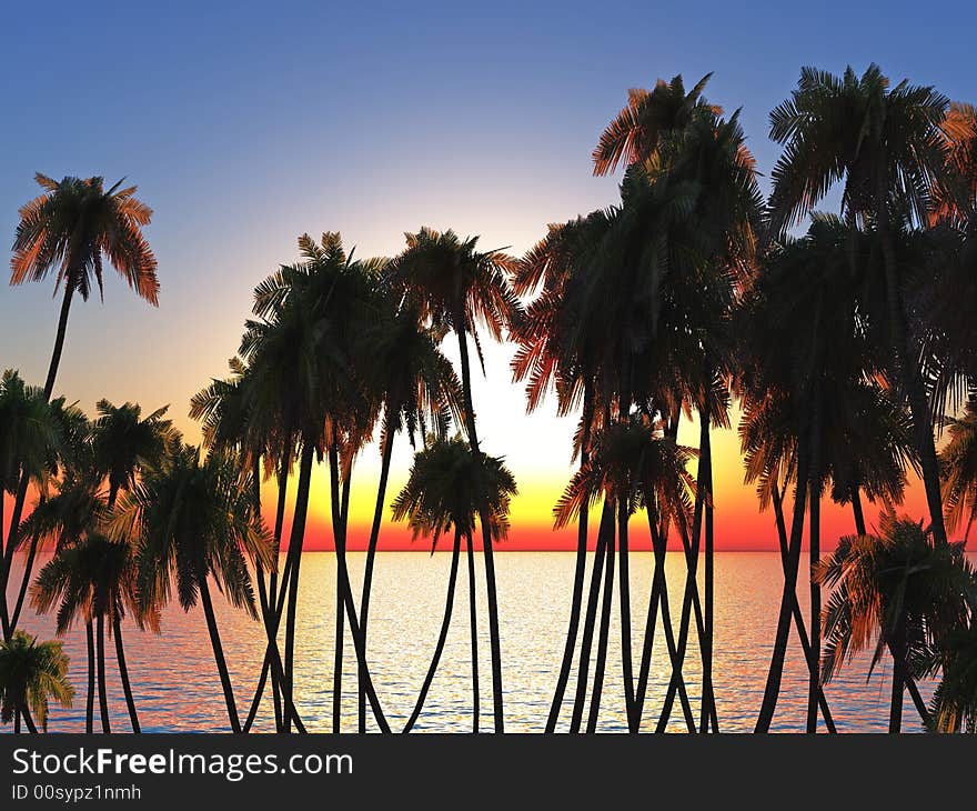 Tree silhouettes  at sunset - 3d scene. Tree silhouettes  at sunset - 3d scene.