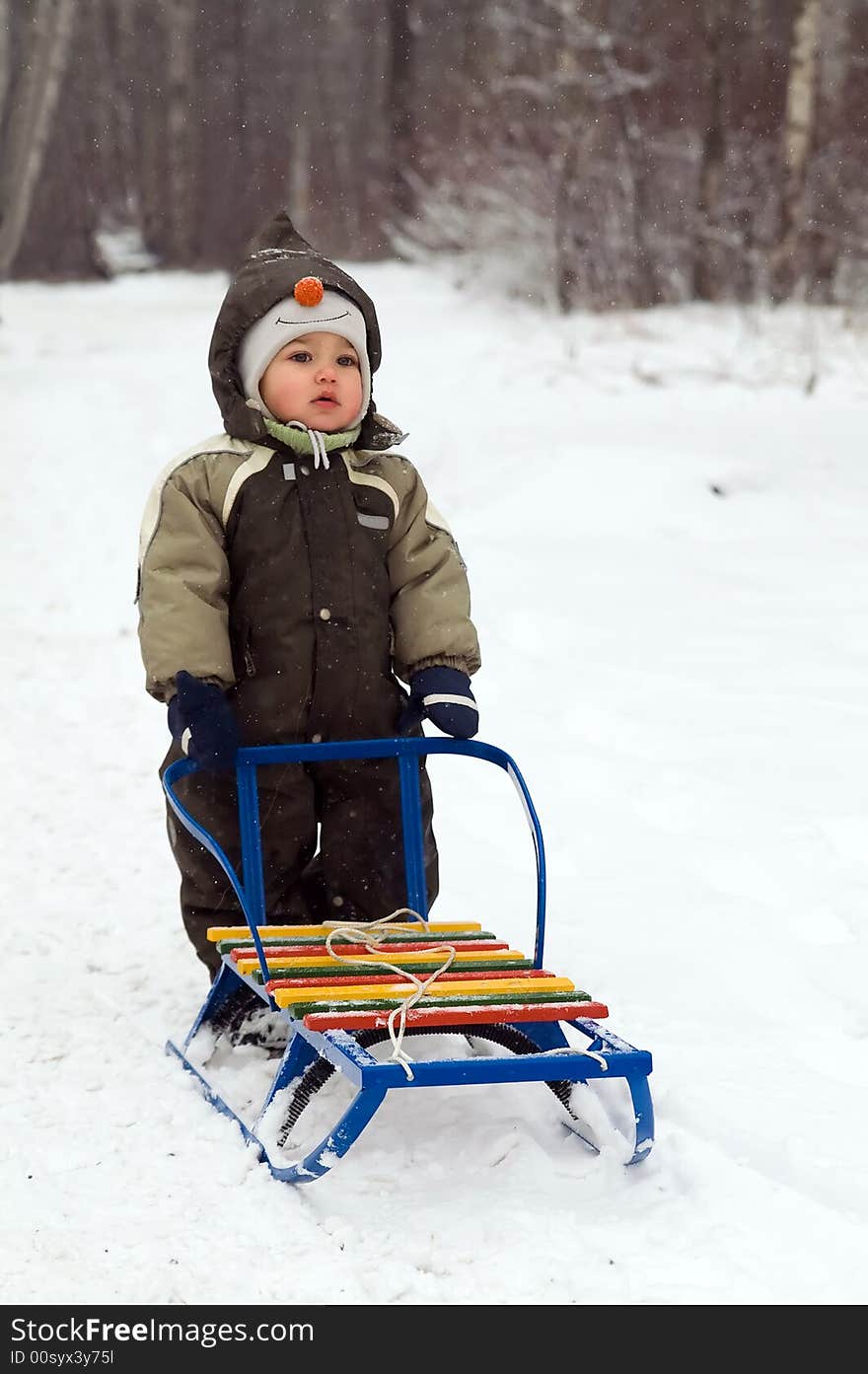 Baby Standing Near Sled