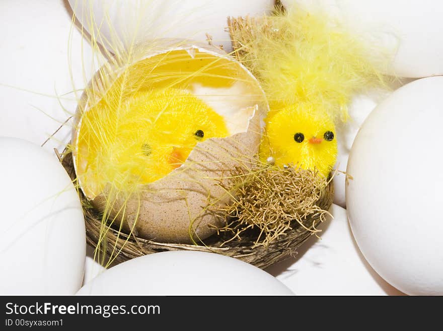 Newborn yellow easter chickens among white eggs