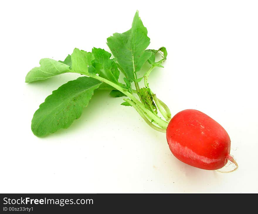 Radish