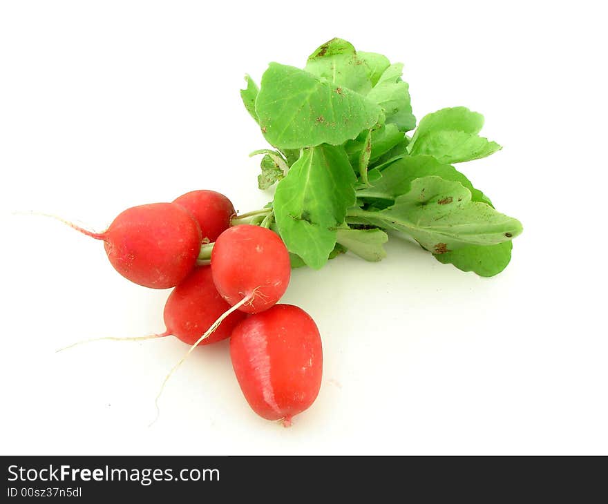 Radish