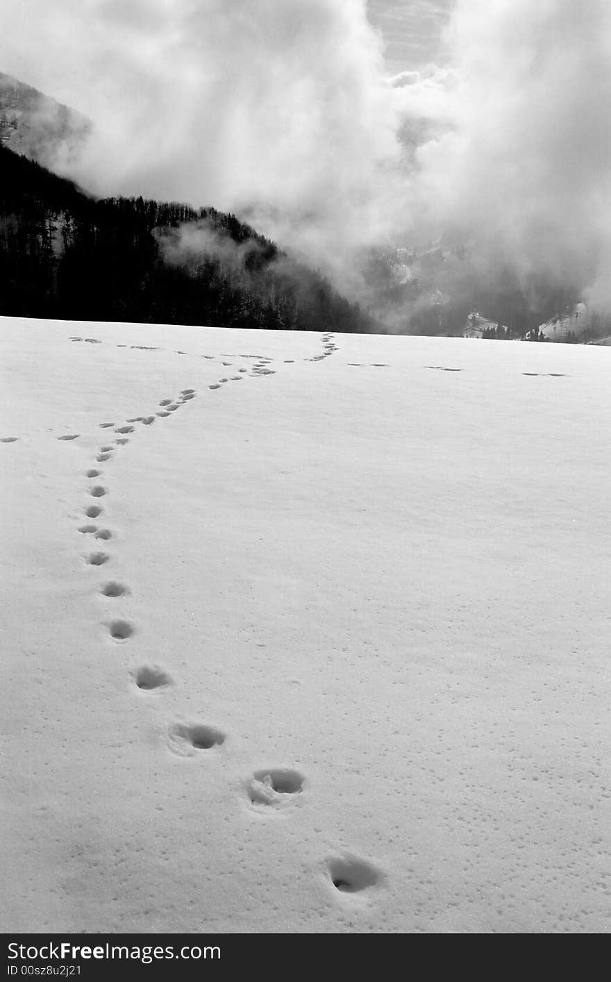 Snow traces