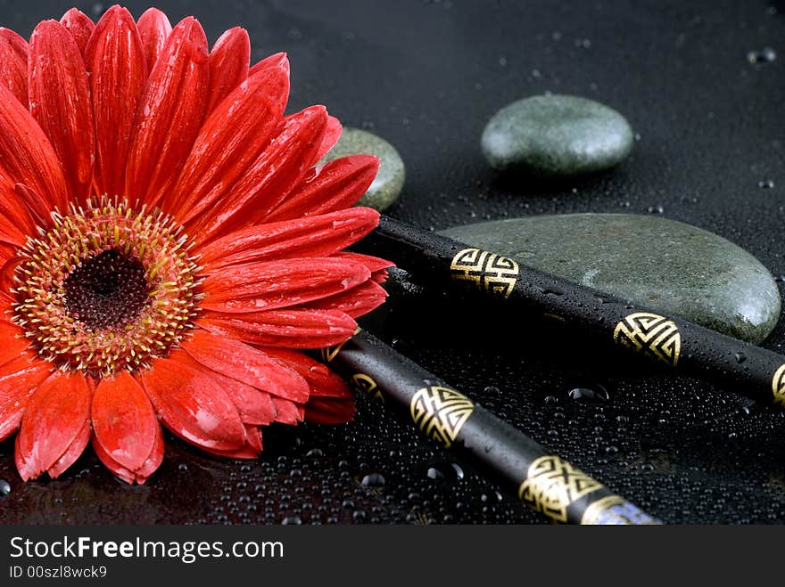 Gerbera daisy still life with chopsticks. Gerbera daisy still life with chopsticks