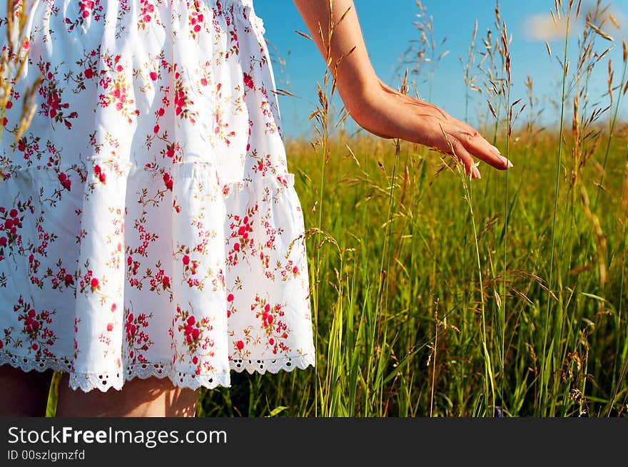 Woman Hand In Field