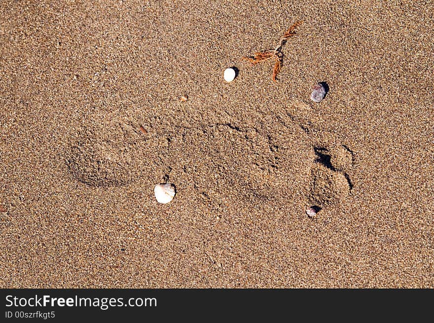 Footprint on wet sand in summer afternoon