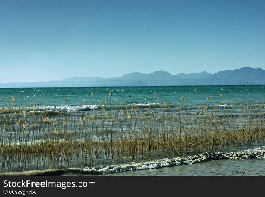 Lake Garda with mountains on the background and reed on the foreground