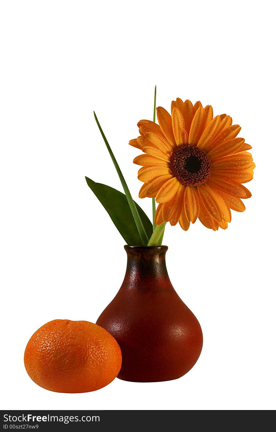 Floral composition with gerber and tangerine