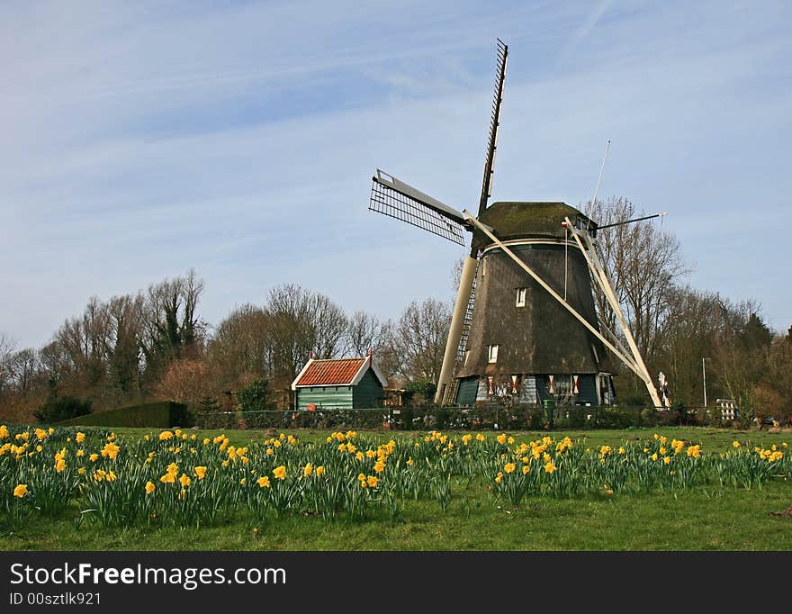 The historical windmill in the Dutch countryside. The historical windmill in the Dutch countryside