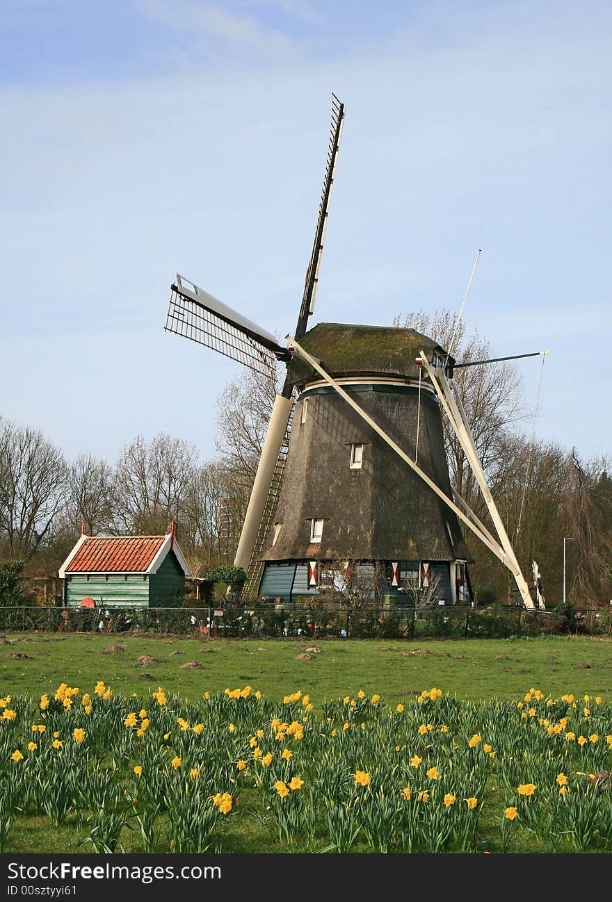 The historical windmill in the Dutch countryside. The historical windmill in the Dutch countryside