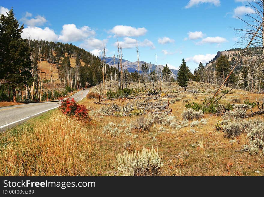 Fall in Yellowstone NP