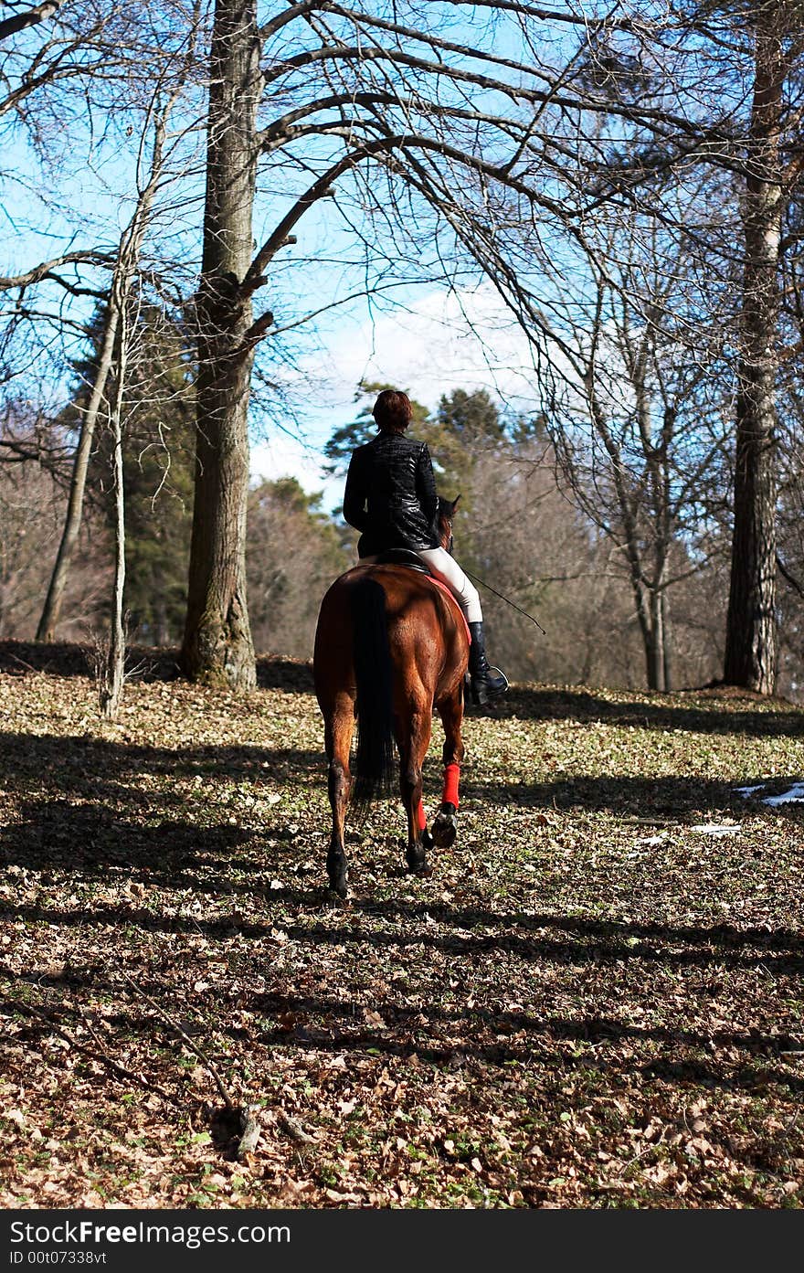 Girl on a horse