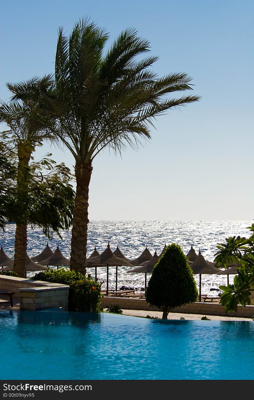 Beautiful swimming pool and ocean in background