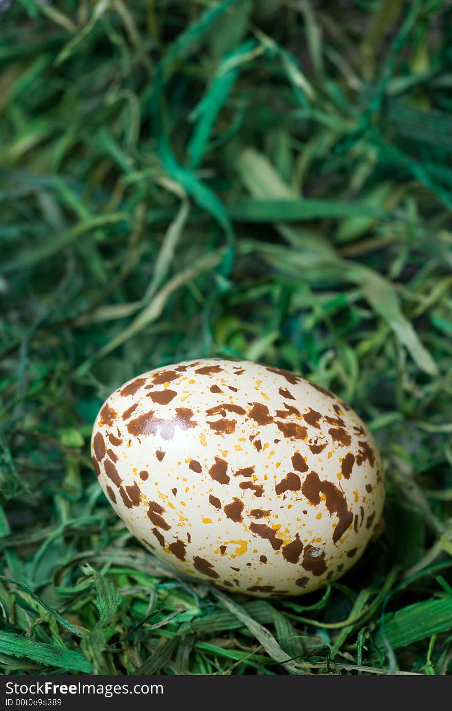 Spotted egg.