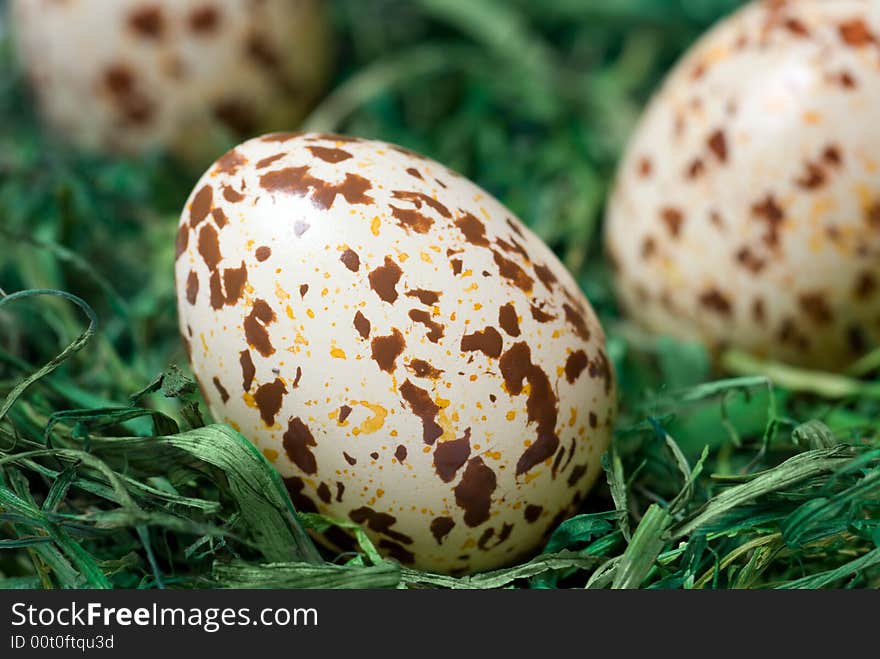 Spotted egg on the green hay. Selective focus, shallow depth of field. Spotted egg on the green hay. Selective focus, shallow depth of field.