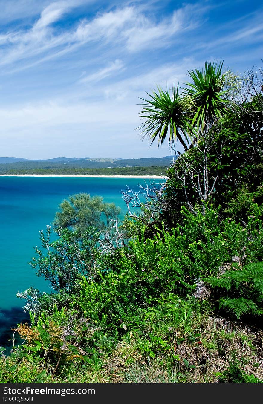 Tropical Vegetation and blue water