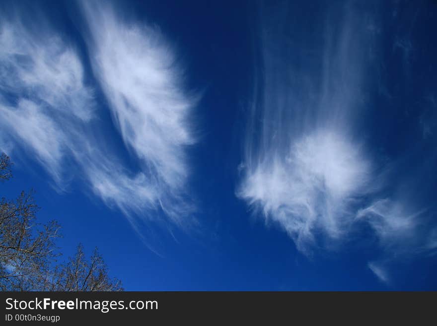 Wispy white clouds against a brilliant blue sky on a summer day. Wispy white clouds against a brilliant blue sky on a summer day