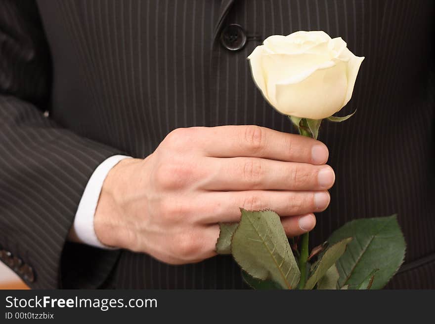 Rose of the white colour in hand men. Rose of the white colour in hand men