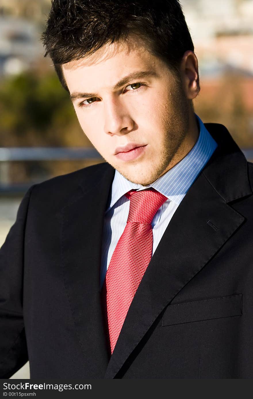 Handsome businessman portrait elegantly dressed