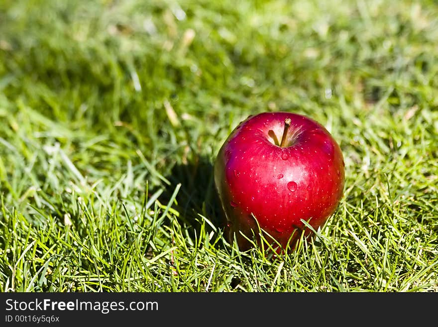 Apple in the grass