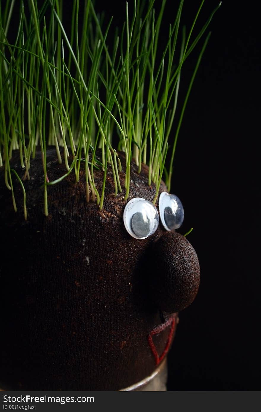 Planting grass everywere even on the head. Planting grass everywere even on the head