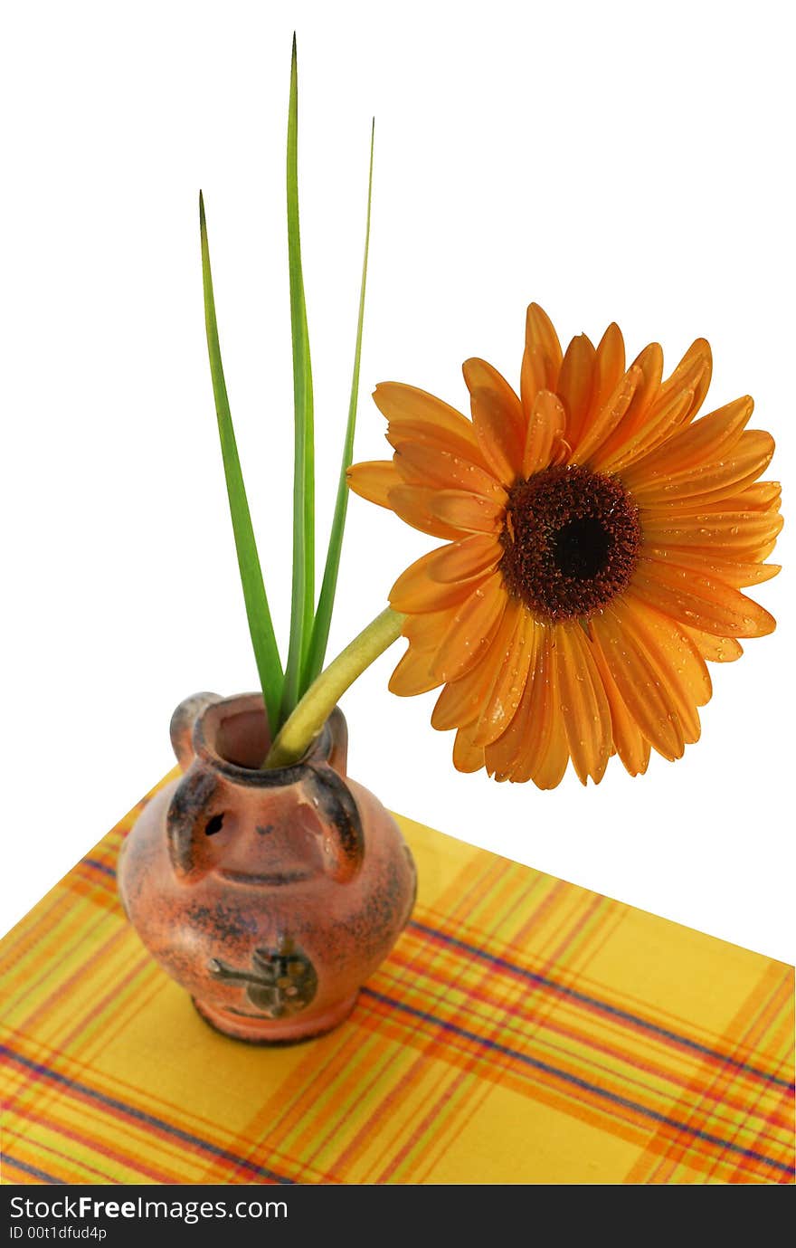 Gerber with droplets in vase on the checkerd table-cloth