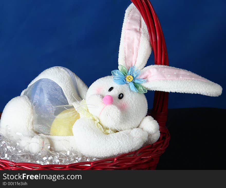 Rabbit standing in basket