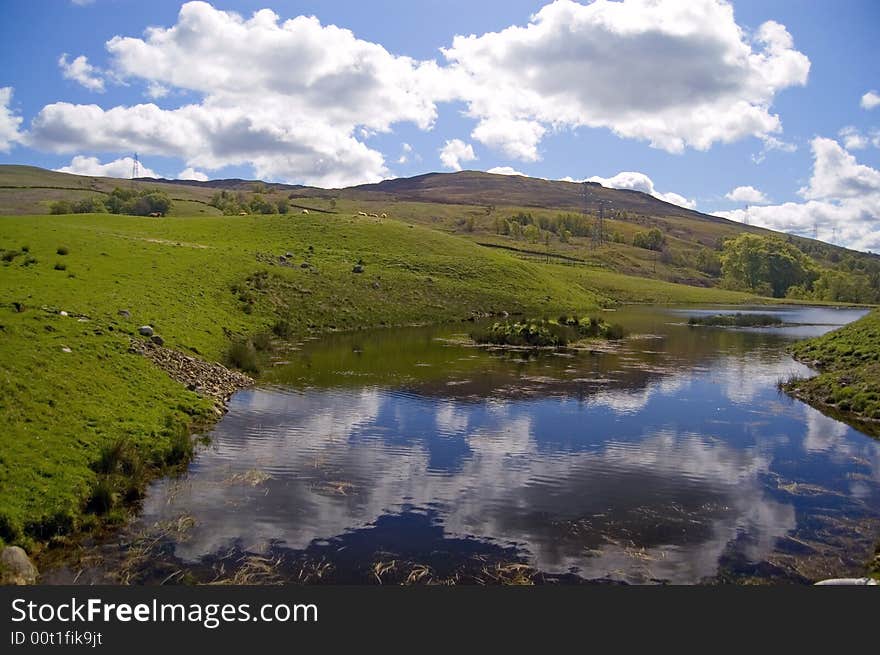 Reflections in the water