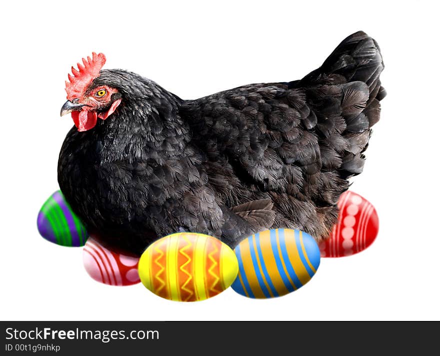 Easter Hen