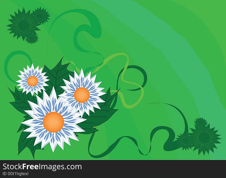 Beautiful flowers on green background. Beautiful flowers on green background