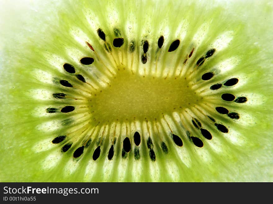 Kiwi Fruit Slice