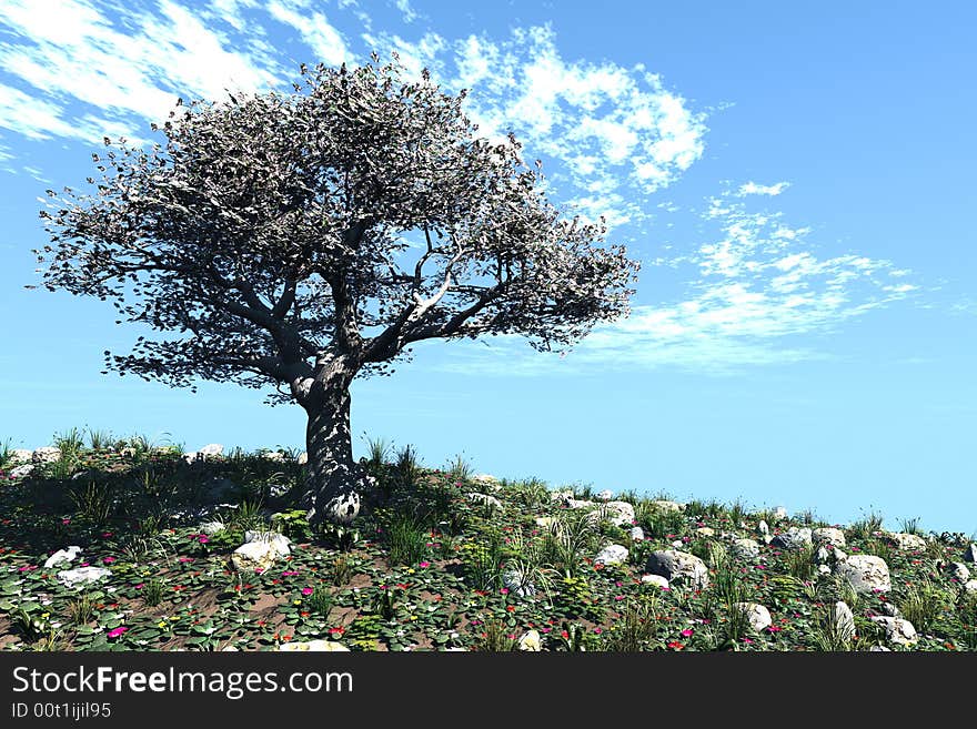 Cherry tree on a hill 2