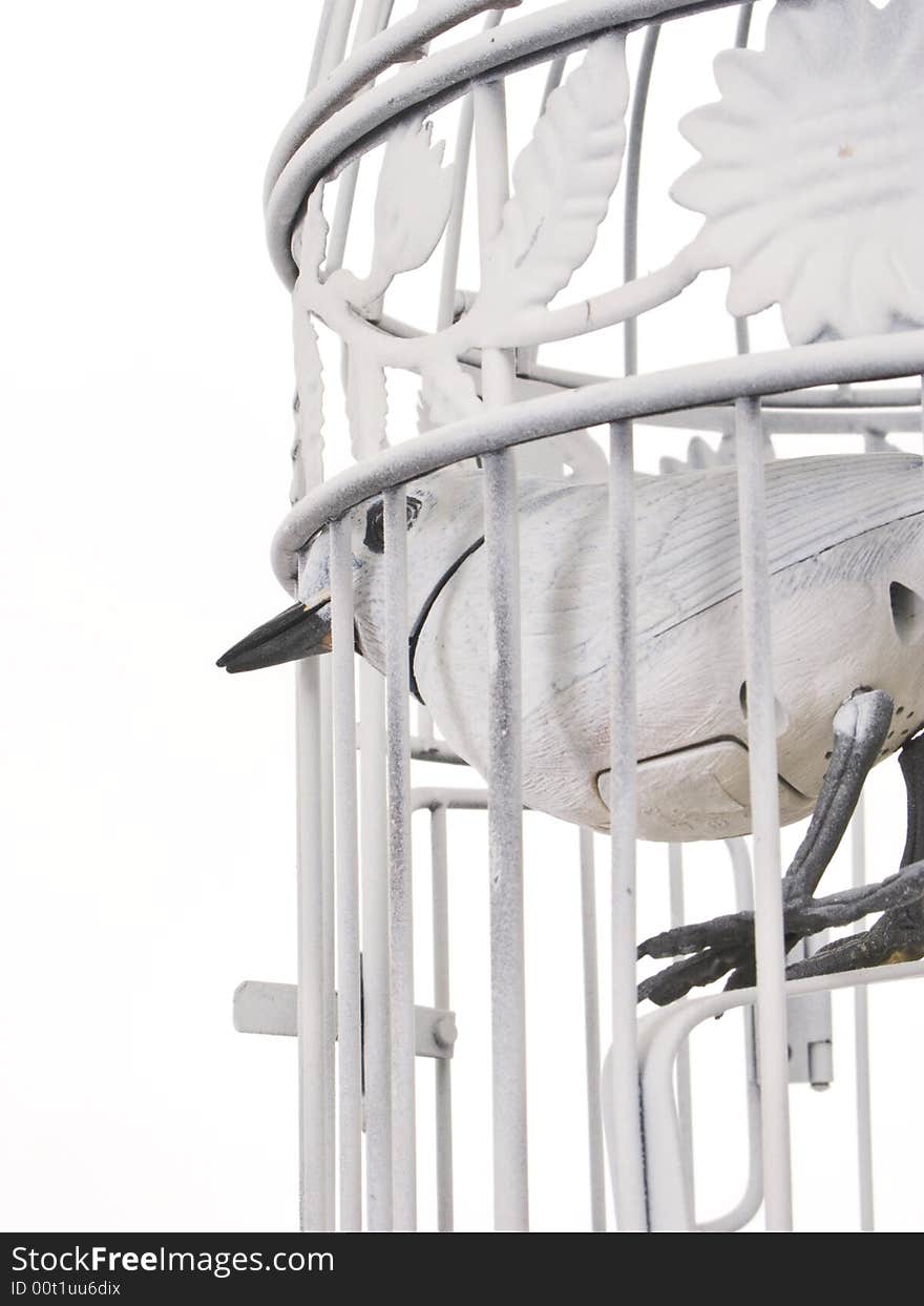 Mechanical Bird Looking Of Cage From Behind.