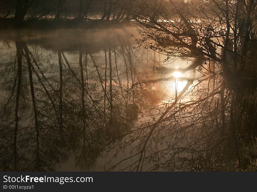 Lake and trees