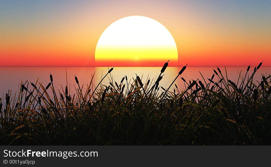 Water plants on a sea sunset  background  -  3D scene. Water plants on a sea sunset  background  -  3D scene.