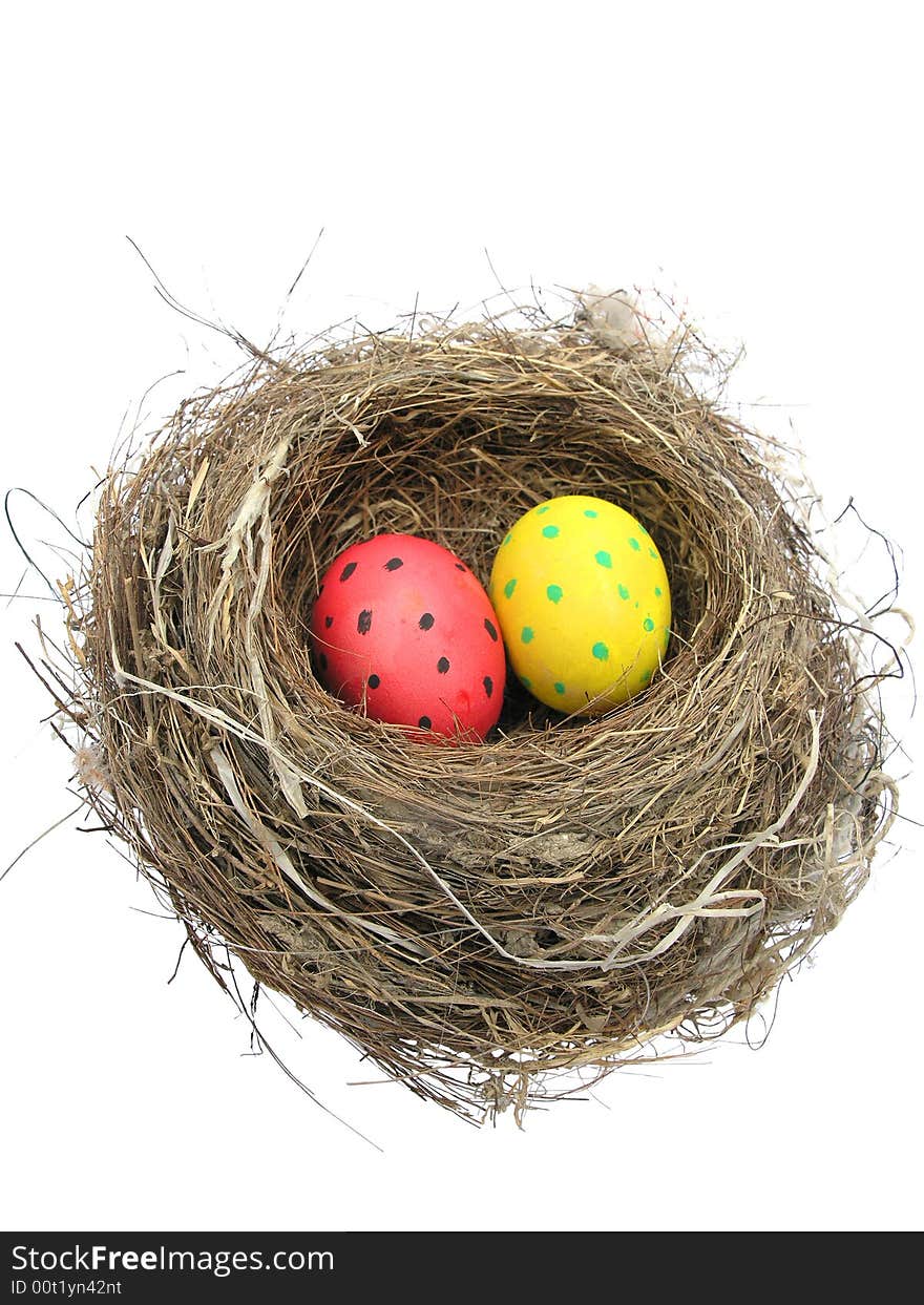 Painted Easter eggs in a bird's nest.