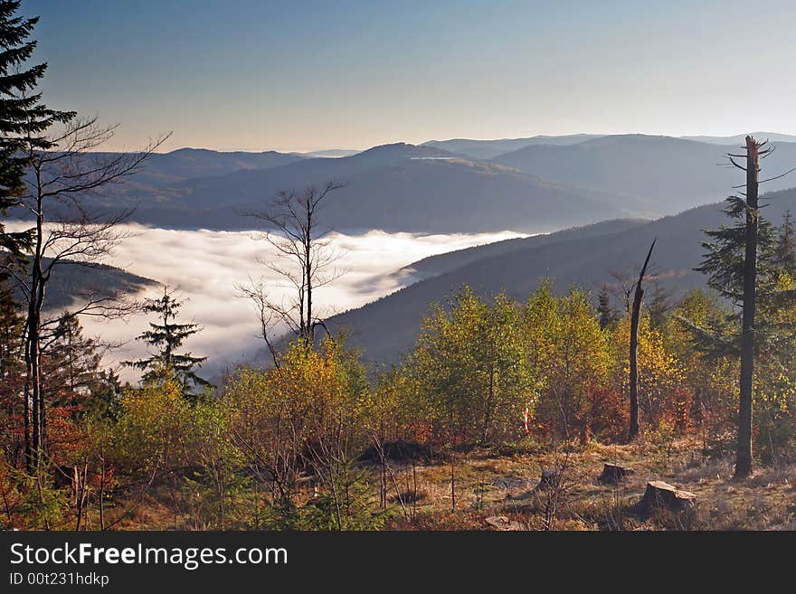 Colorful autumn in the mountains