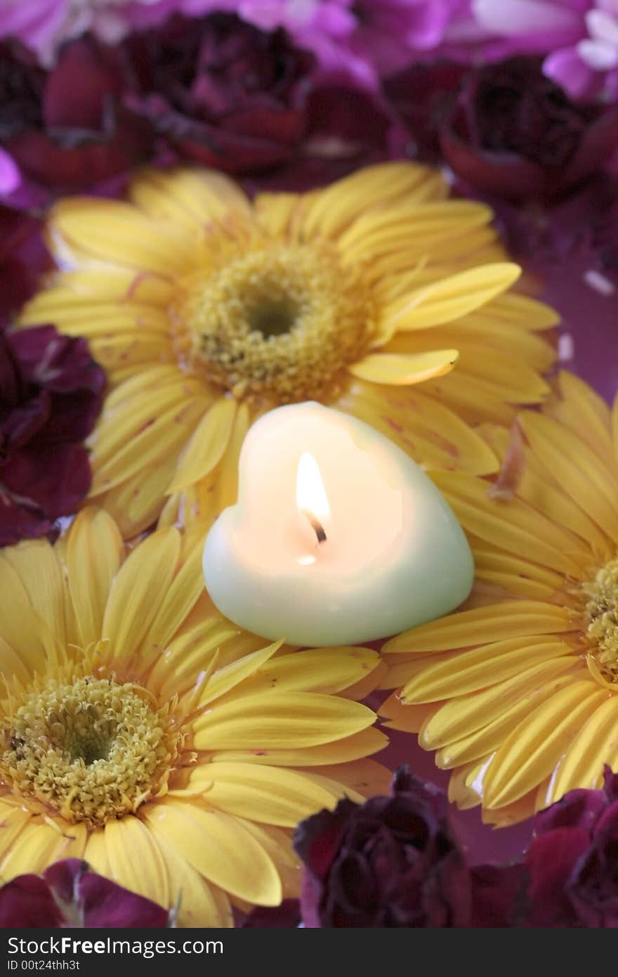 Heart shaped candle on floating flower petels. Heart shaped candle on floating flower petels