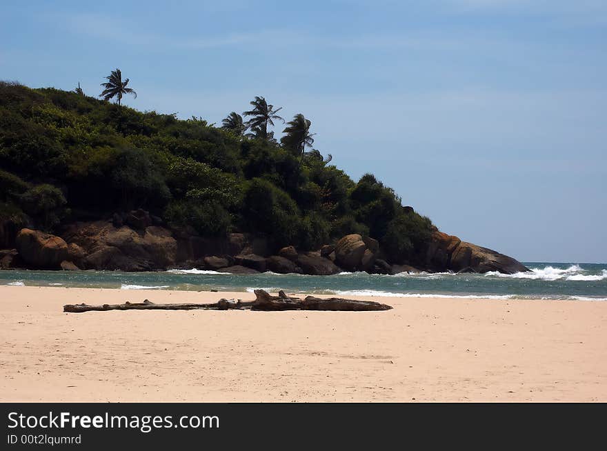 Green island near to the seashore