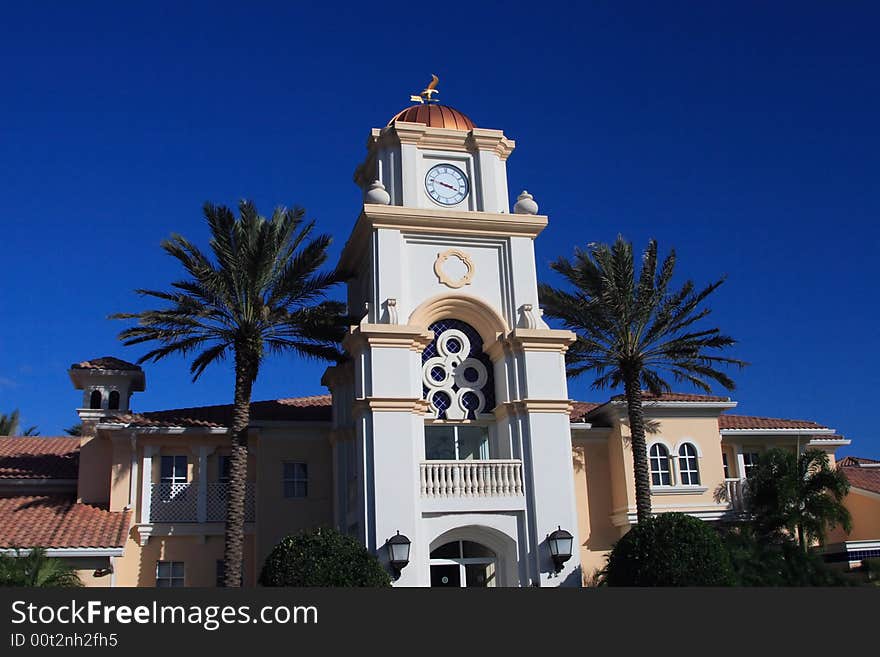 Tropical Tower in south Florida with palm trees