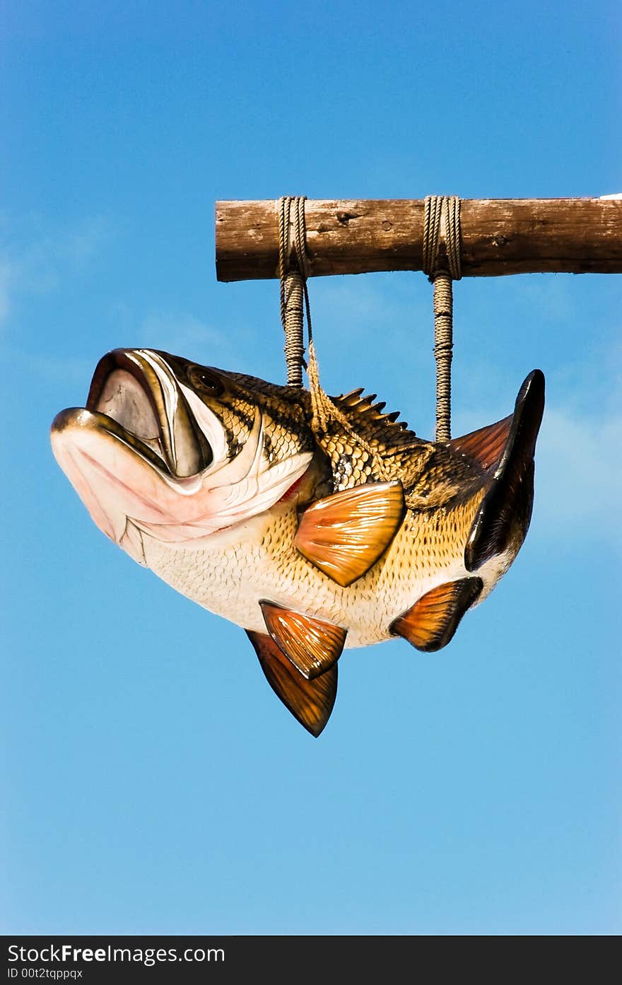 Bass Fish Hanging