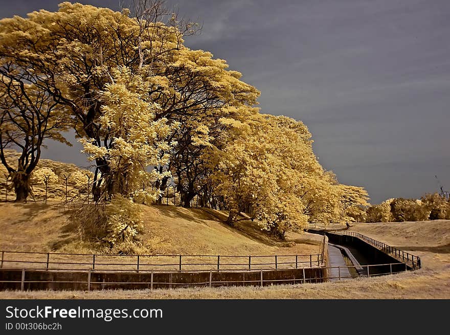 Infrared Photo â€“ Drain, Sky, Landscape And Tree