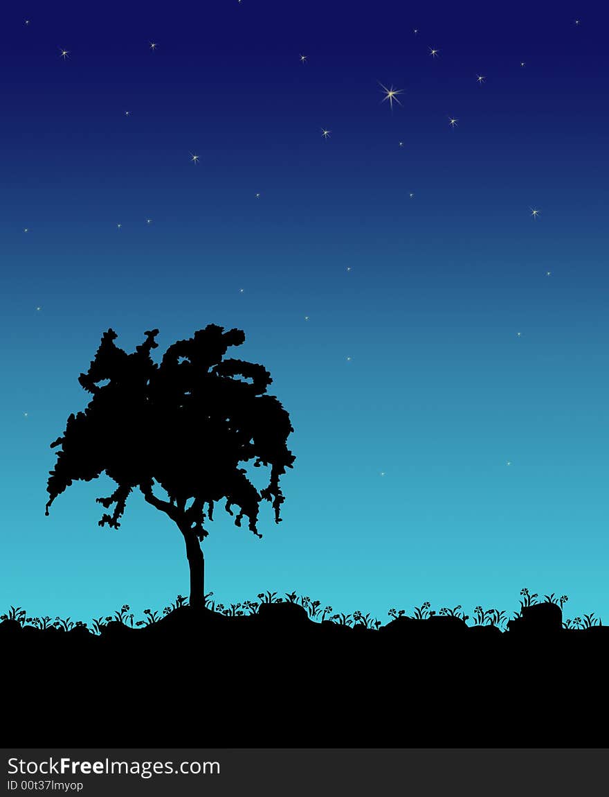 Tree In The Night