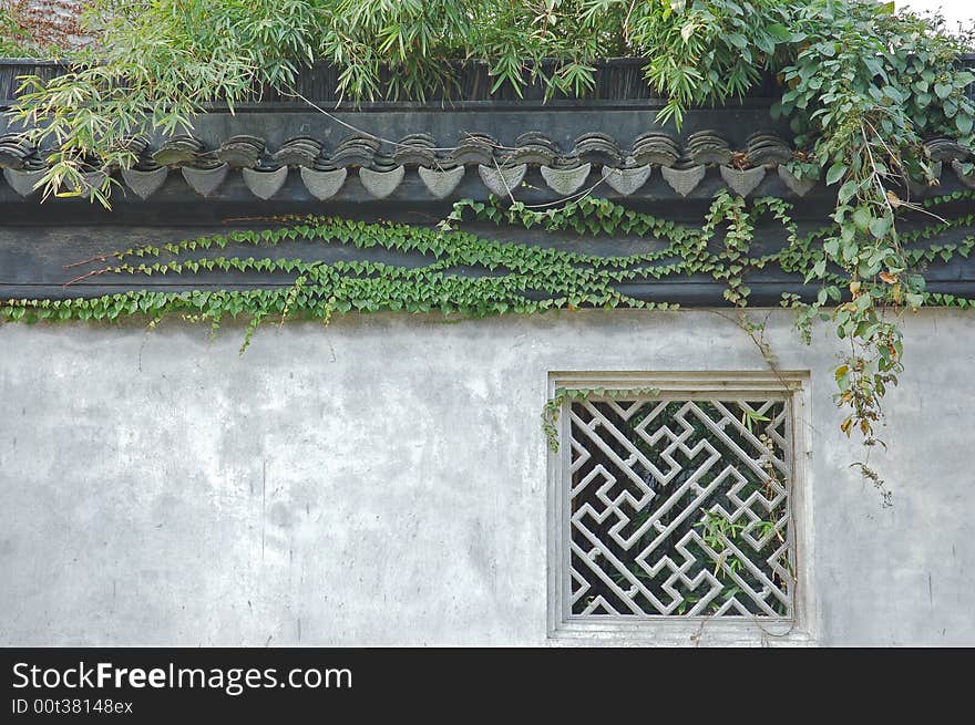 Window and vine of a chinese garden. Window and vine of a chinese garden