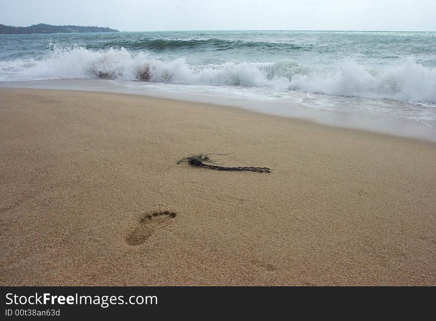 Footprint on a tropical beach.