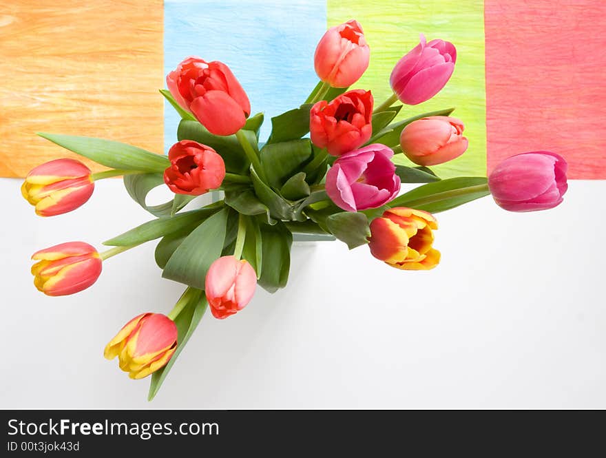 Tulilps in vase with colorful background. Tulilps in vase with colorful background