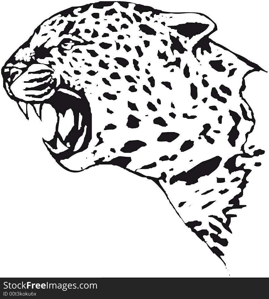 Illustration of the head leopard